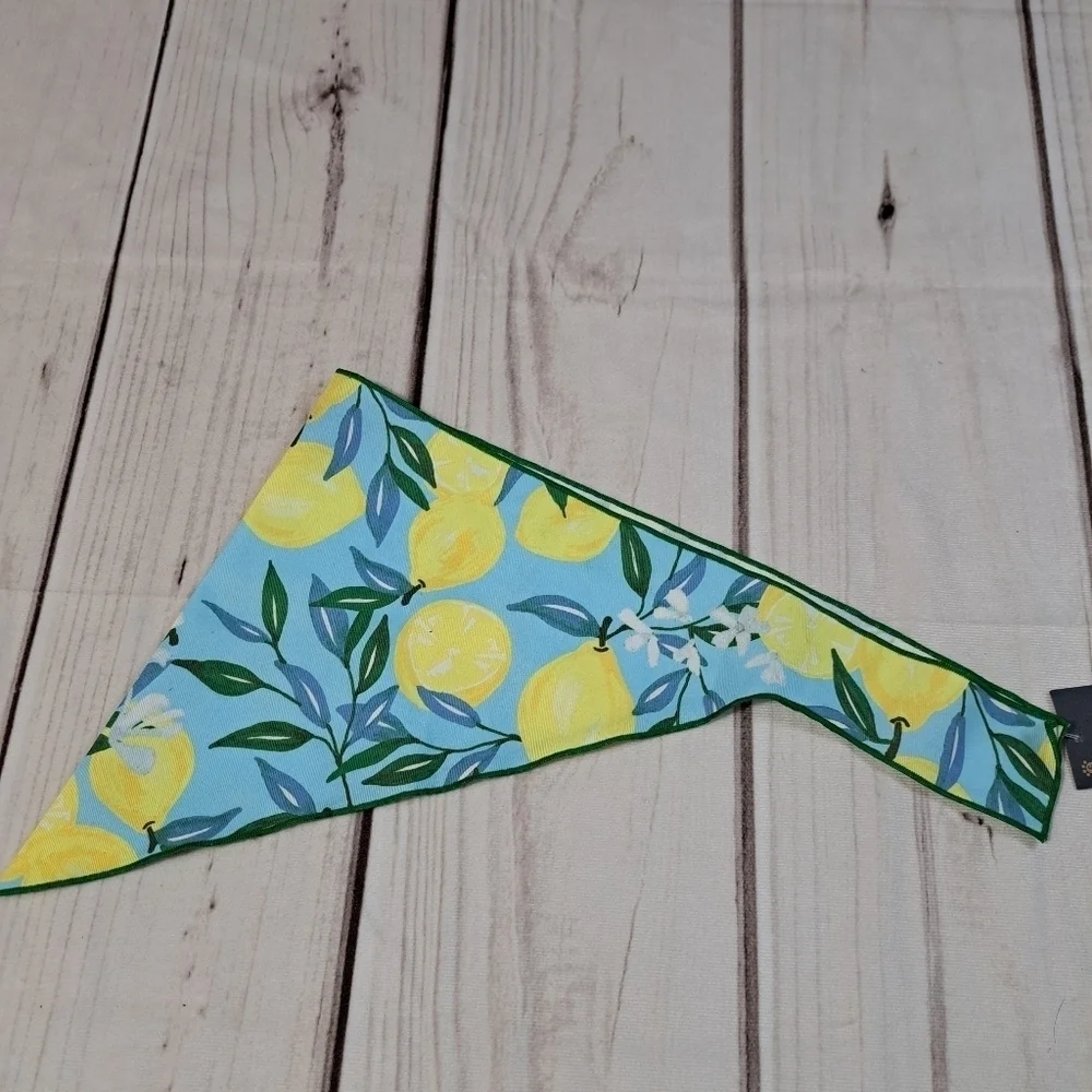 3 FOR 12 SALE Paw & Tail Pet Accessory Bandana Lemon Print Size Large